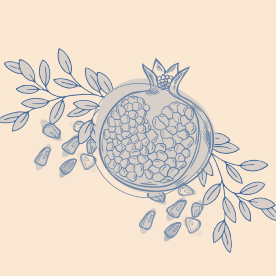 In a sketched style, this image depicts a pomegranate cut open; its seeds spill out and leaves cluster around it.